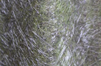 Rhoslan fibreglass roof work